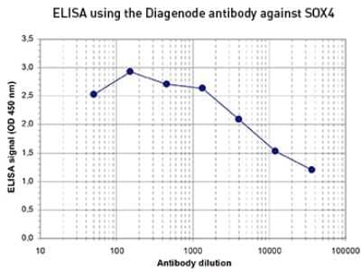ELISA: SOX4 Antibody [NBP3-18643]